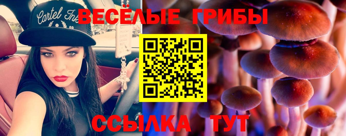 Галлюциногенные грибы мухоморы Котлас
