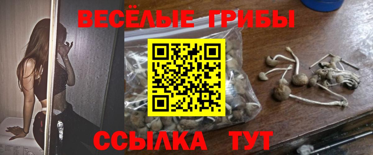 Псилоцибиновые грибы Magic Shrooms  Вход с VPN  Котлас  Псилоцибиновые грибы Magic Shrooms 